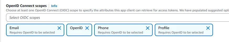 Attach custom API scope to app client Attach custom API scope to app client